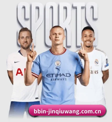 五个功能入口,赛程查询路径更短